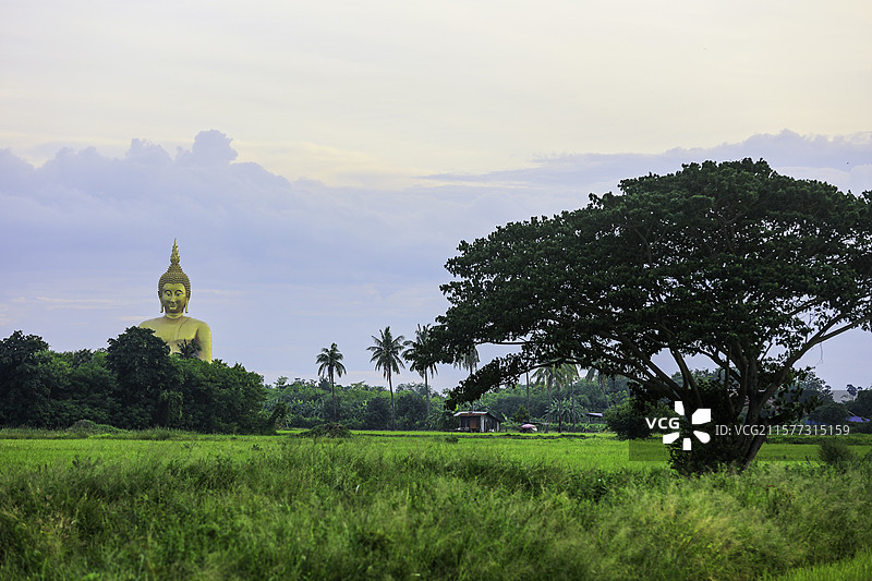 金色佛像下的田园风光泰国红统府图片素材