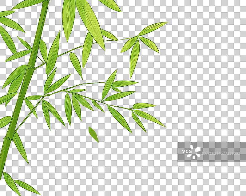 中国风竹叶元素图片素材