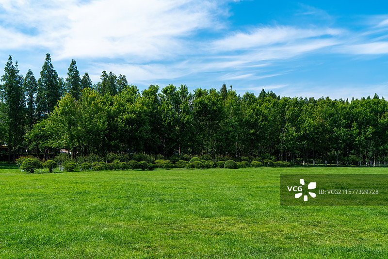 蓝天绿地绿树林图片素材