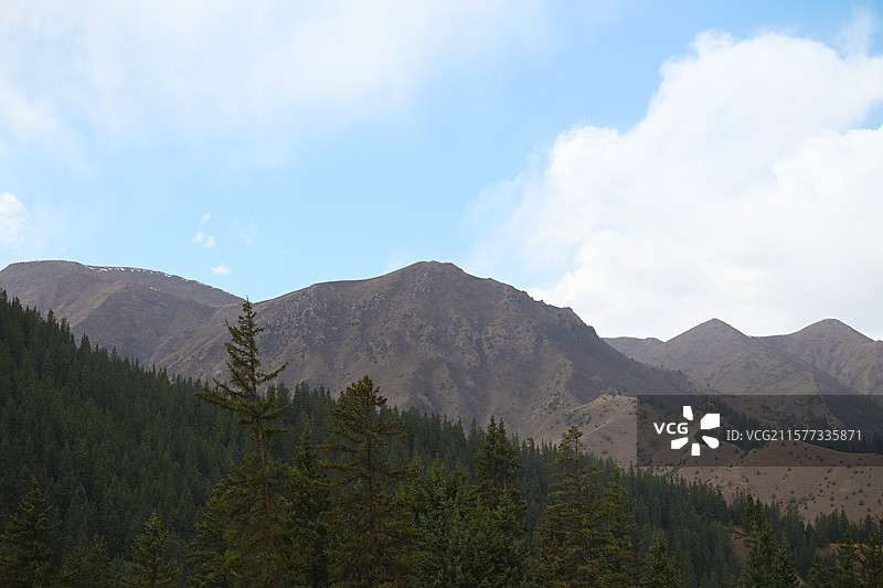 林海穿越 祁连山冰沟河景区图片素材