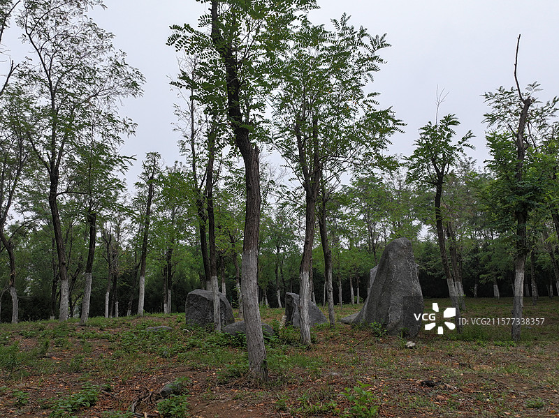 航拍夏季济南卧牛山地质公园风光图片素材