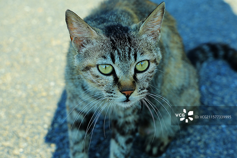 你是谁图片素材