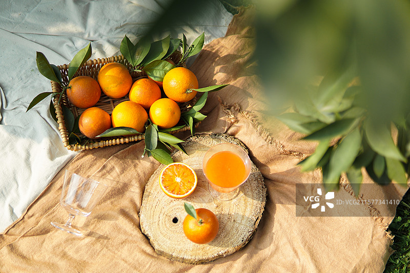 资中血橙图片素材