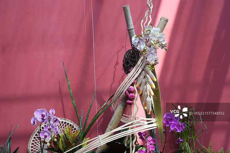 蔬菜搭建的抽象的景观图片素材