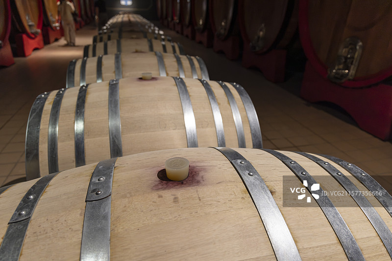 酒窖中的一排橡木酒桶，传统的葡萄酒陈酿过程图片素材
