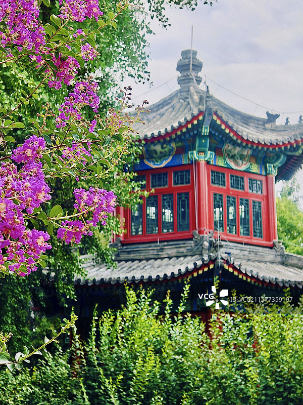 宣武艺园 紫薇图片素材