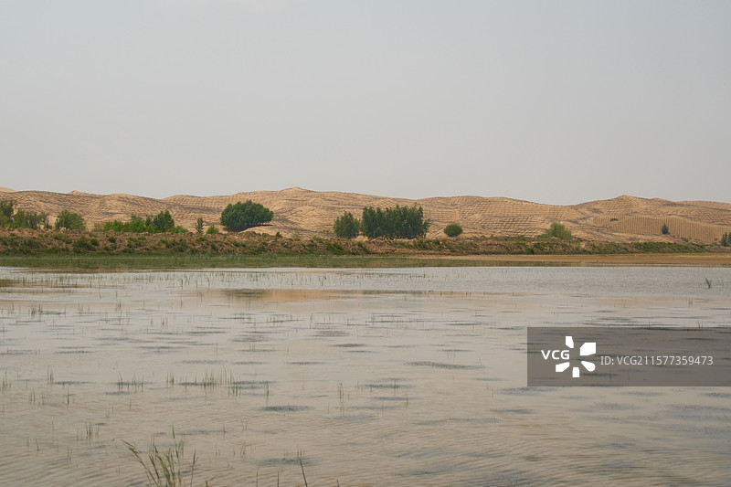 鄂尔多斯达拉特旗的沙漠绿洲图片素材
