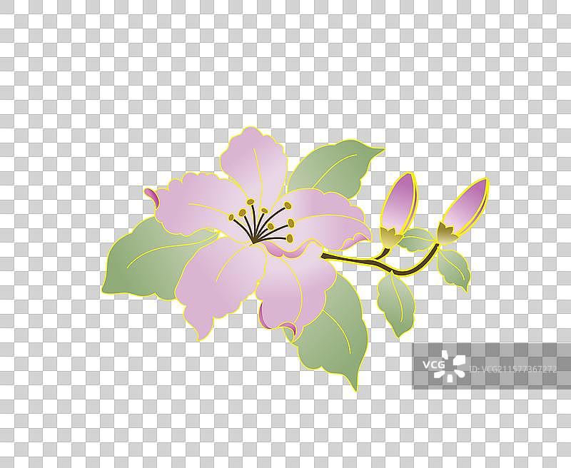 中国国潮古典风格紫荆花插画免抠元素图片素材