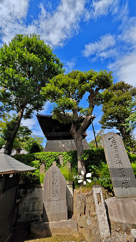 日本东京护国寺位于文京区，建于 1681 年，属真言宗丰山派，有诸多文化财，每月 18 日开放本堂，图片素材