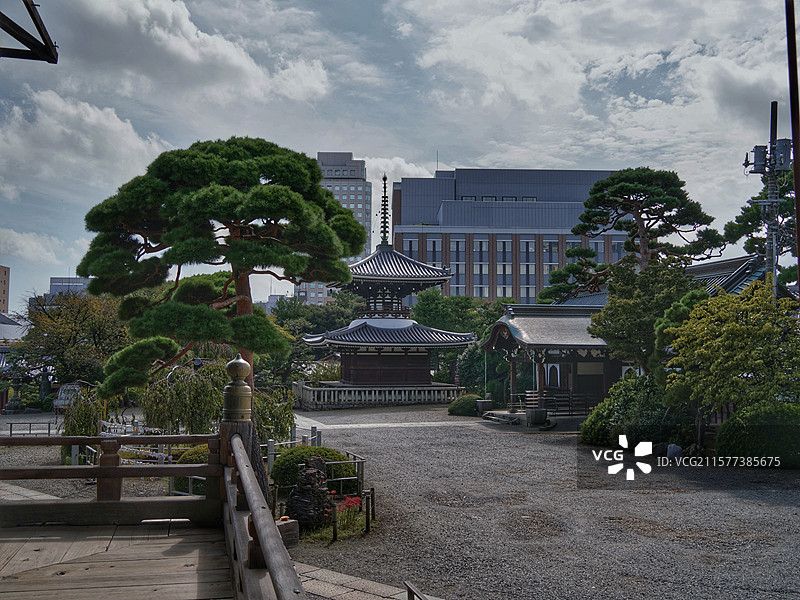 日本东京护国寺位于文京区，建于 1681 年，属真言宗丰山派，有诸多文化财，每月 18 日开放本堂，图片素材