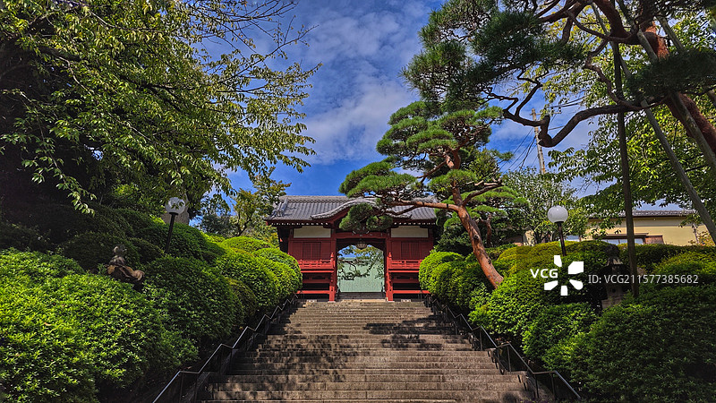 日本东京护国寺位于文京区，建于 1681 年，属真言宗丰山派，有诸多文化财，每月 18 日开放本堂，图片素材