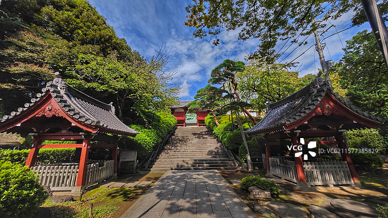 日本东京护国寺位于文京区，建于 1681 年，属真言宗丰山派，有诸多文化财，每月 18 日开放本堂，图片素材
