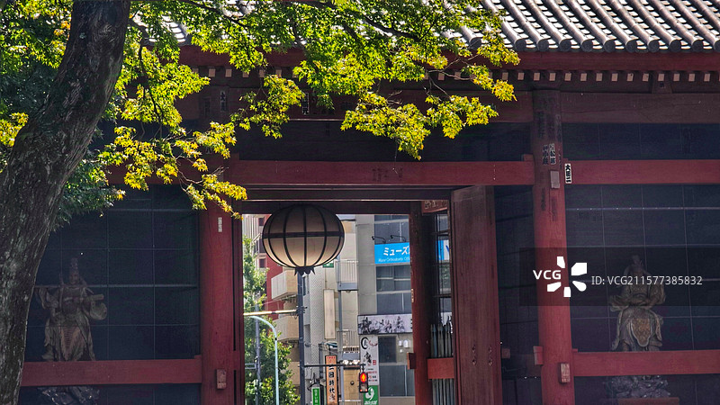 日本东京护国寺位于文京区，建于 1681 年，属真言宗丰山派，有诸多文化财，每月 18 日开放本堂，图片素材