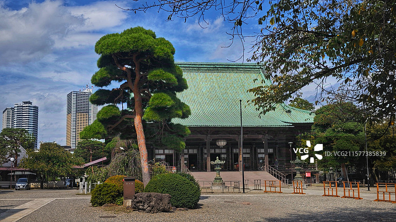 日本东京护国寺位于文京区，建于 1681 年，属真言宗丰山派，有诸多文化财，每月 18 日开放本堂，图片素材