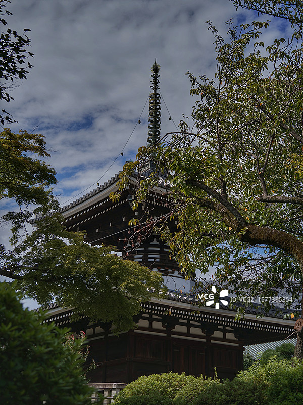 日本东京护国寺位于文京区，建于 1681 年，属真言宗丰山派，有诸多文化财，每月 18 日开放本堂，图片素材