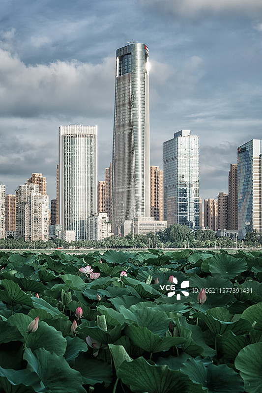 武汉襄投万豪酒店与荷花图片素材