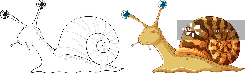 色彩斑斓的蜗牛与黑白相配图片素材