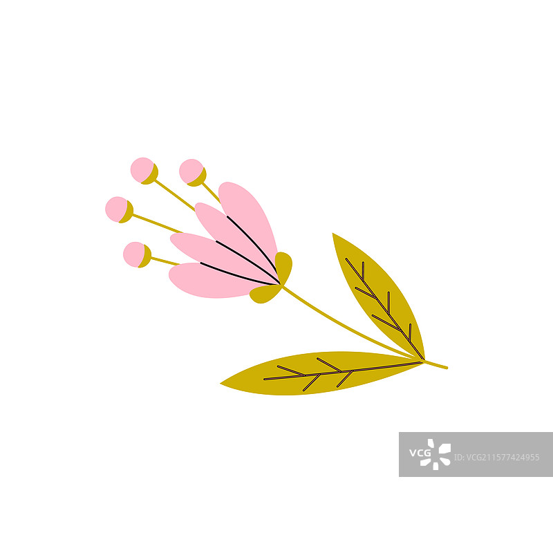 美丽的粉色花朵与叶子图片素材