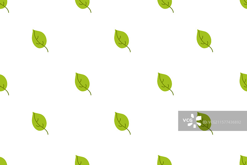 白色背景上的绿色叶子图案图片素材