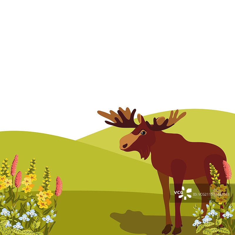 动物和植物的绘画图片素材