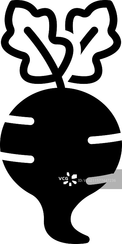 甜菜根图片素材