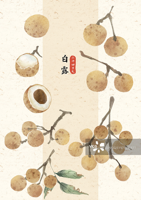 白露龙眼国风插画图片素材