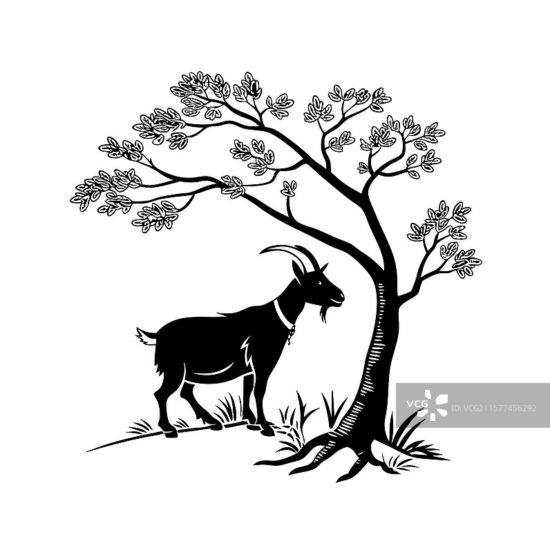 一只山羊站在树下图片素材