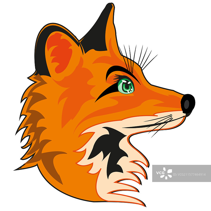 肖像的图片素材