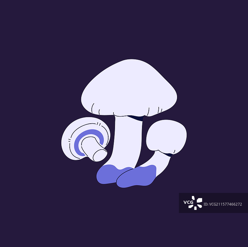 紫色茎的迷幻蘑菇图标图片素材