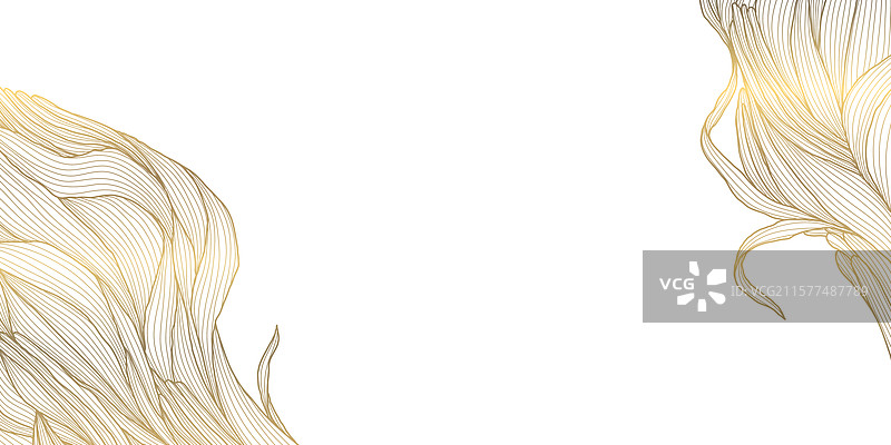 金色花卉框架植物设计图片素材