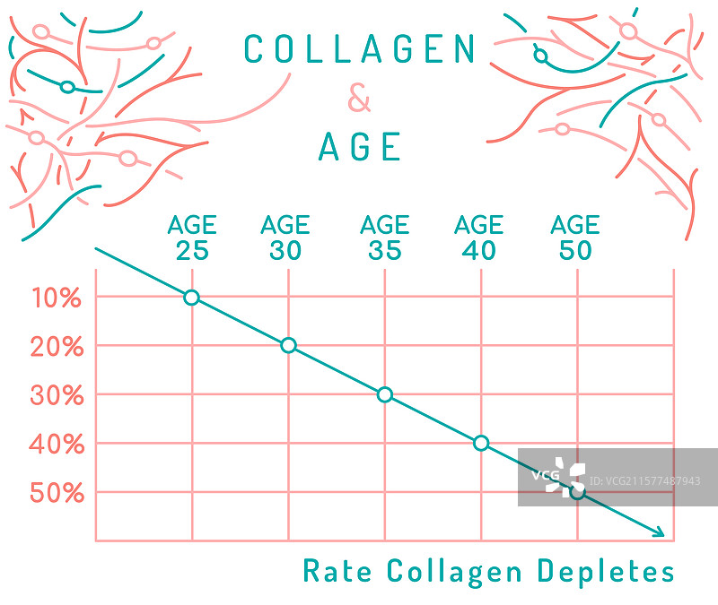 女性胶原蛋白生产与年龄的医学研究图片素材
