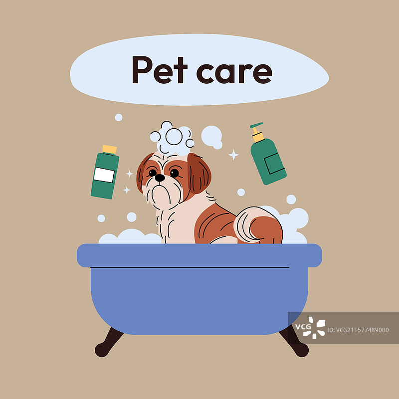 一只西施犬坐在蓝色浴缸里，身上覆盖着图片素材