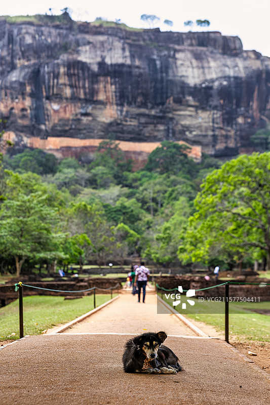 斯里兰卡狮子岩的壮丽景色（夏天）图片素材