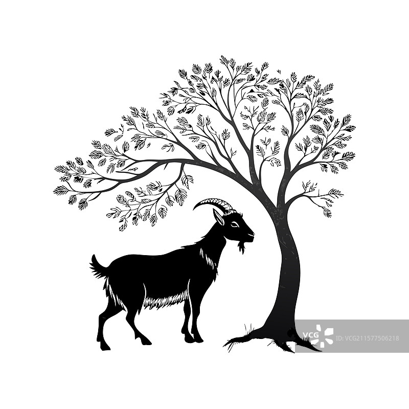 一只山羊站在树下图片素材