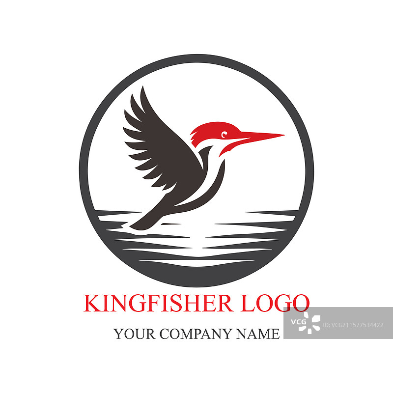 色彩斑斓的翠鸟标志设计图片素材