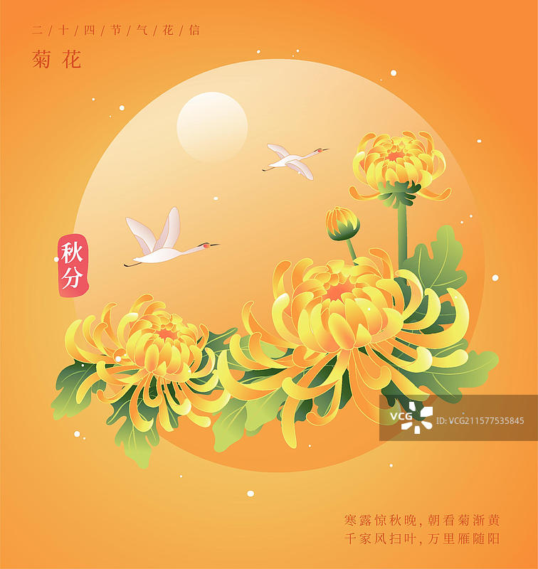 新中式二十四节气  寒露 九月九 重阳节登高赏花 矢量插画海报图片素材