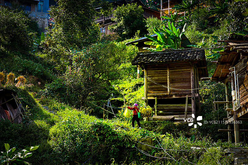 加榜梯田村子中的挑夫图片素材