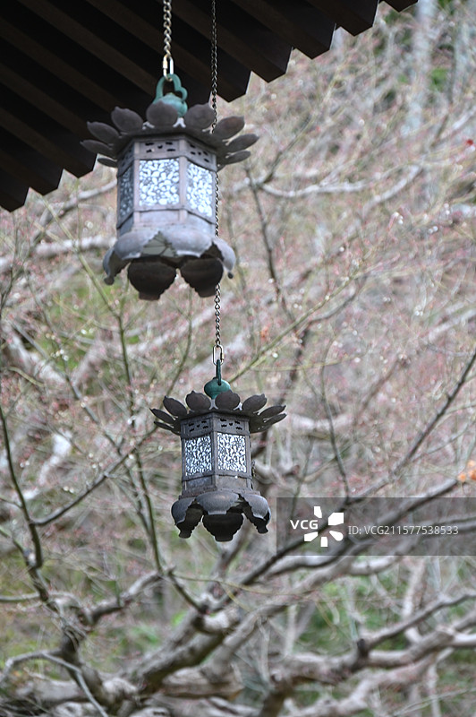 日本镰仓长谷寺的春天图片素材