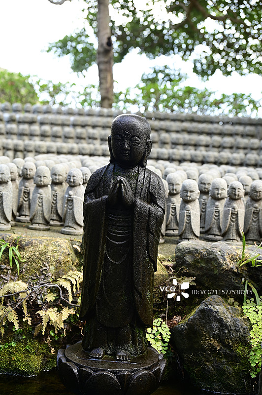 日本镰仓长谷寺的春天图片素材