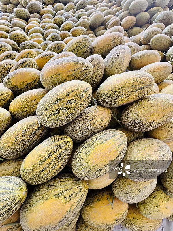 新疆喀什，伽师瓜顶呱呱。皮薄肉细，脆甜多汁。小暑时节，瓜果飘香，喀什地道风物陆续上市。图片素材
