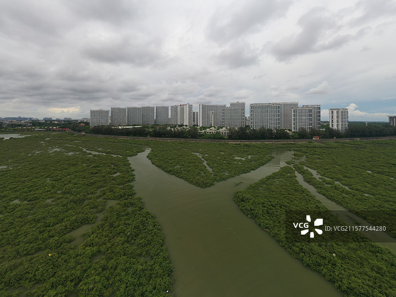 航拍广西百色市金海湾红树林生态旅游区图片素材