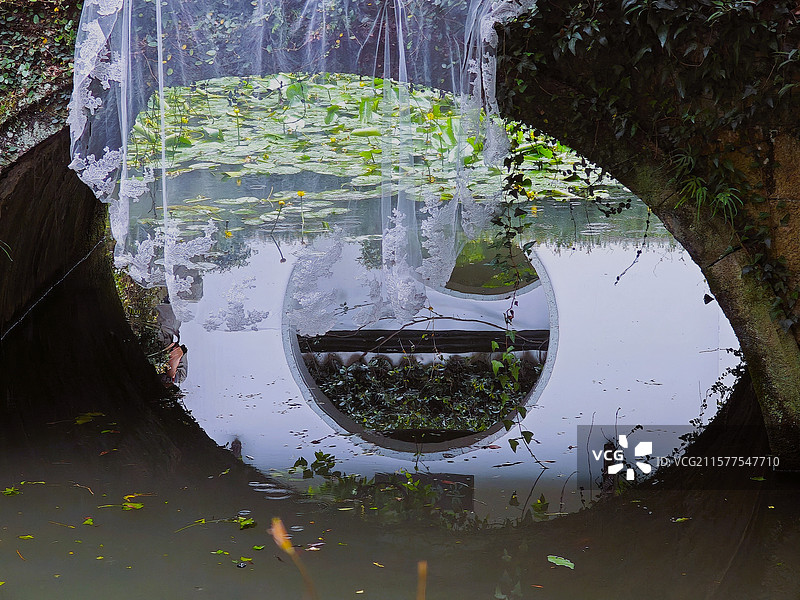 杭州虎跑公园夏季清凉好去处。有水杉森林、天下第三泉虎跑泉、弘一法师、罗汉堂、钟楼等。图片素材