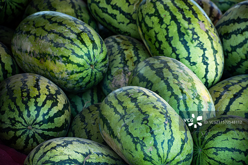 新疆博尔塔拉、博乐、西瓜、西瓜种植基地、种植园、新鲜西瓜图片素材