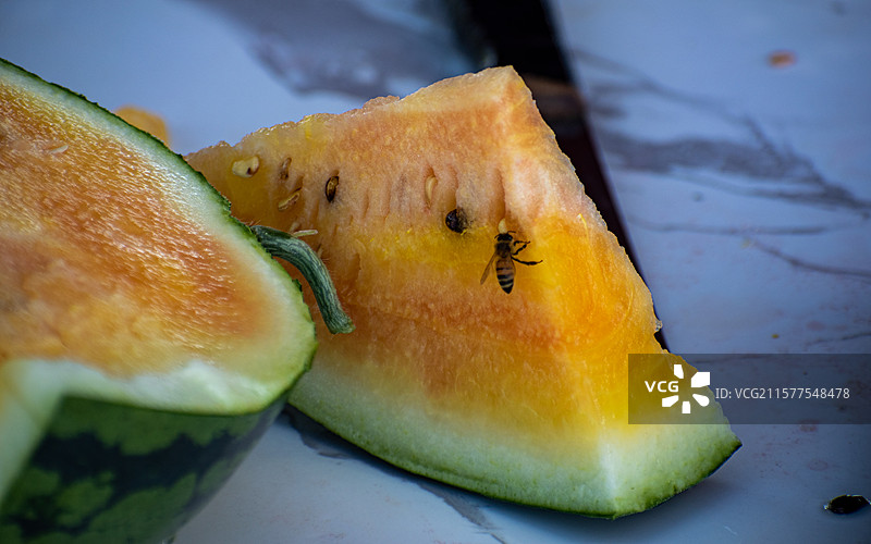 新疆博尔塔拉、博乐、西瓜、西瓜种植基地、种植园、新鲜西瓜图片素材