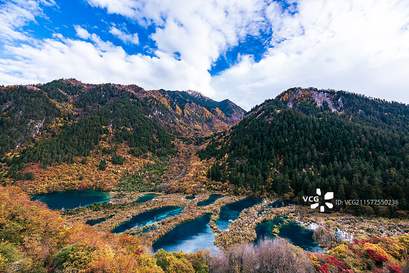 四川省阿坝州九寨沟风景区-树正群海-彩林与海子图片素材
