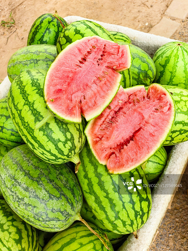 北京庞各庄吊秧西瓜特写图片素材