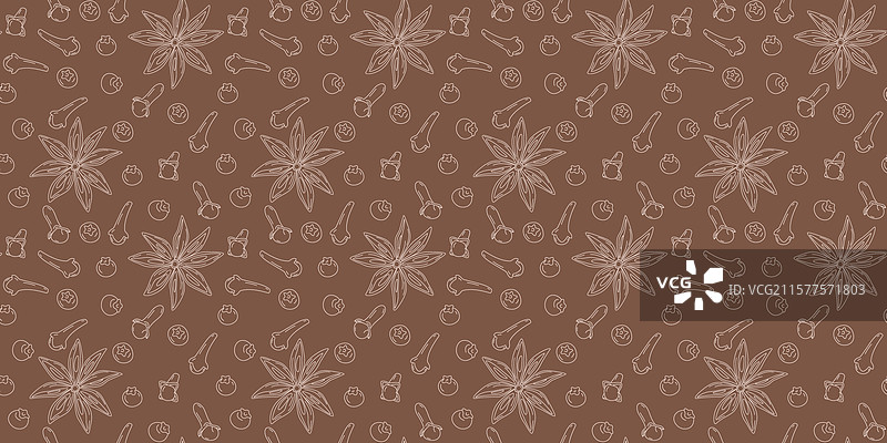 手绘的八角、丁香、干香料和全香料图片素材