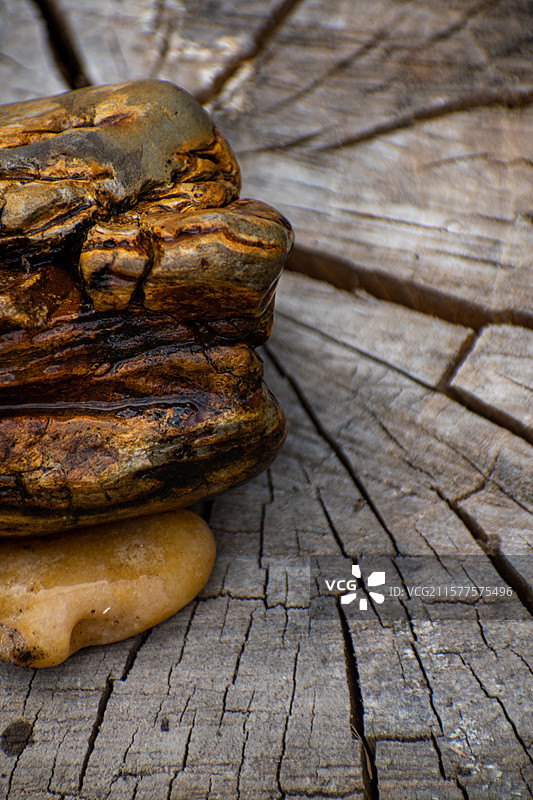 新疆博尔塔拉、木纹路、老木桩、裂纹、木头、木头裂纹图片素材