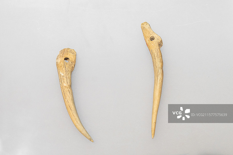 战国-骨角形器-宁夏博物馆图片素材