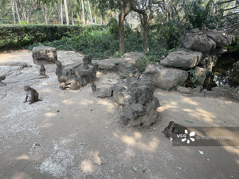 航拍长沙图片素材